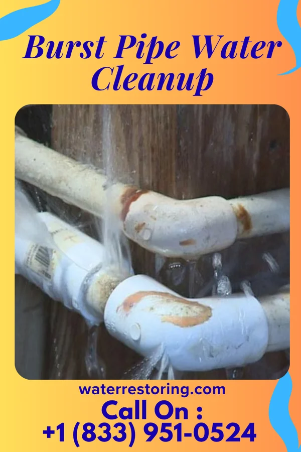 Burst Pipe Water Cleanup in Upper Pohatcong, NJ