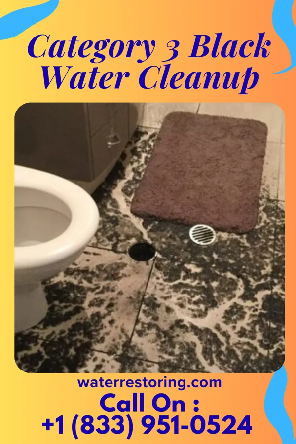Category 3 Black Water Cleanup in Upper Pohatcong, NJ