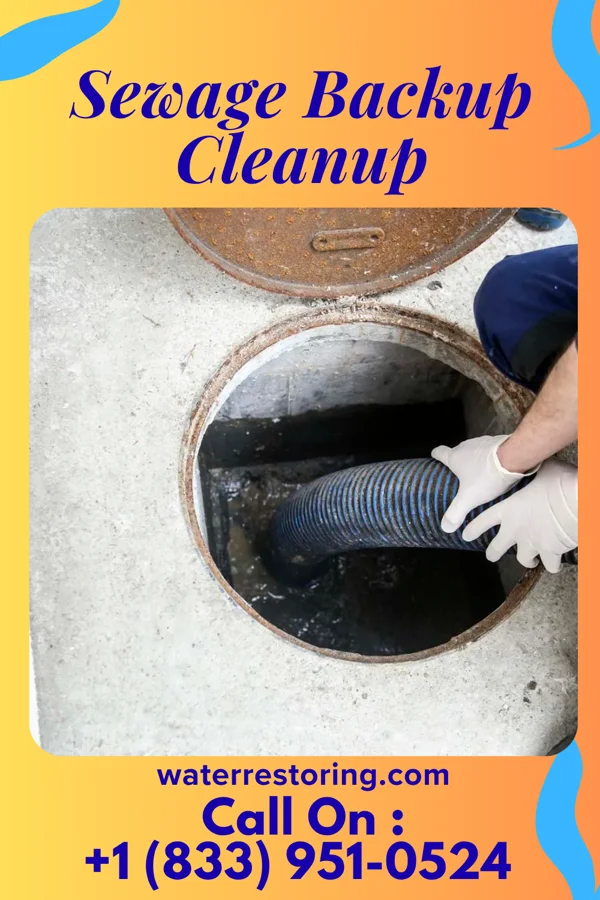 Sewage Backup Cleanup in Upper Pohatcong, NJ