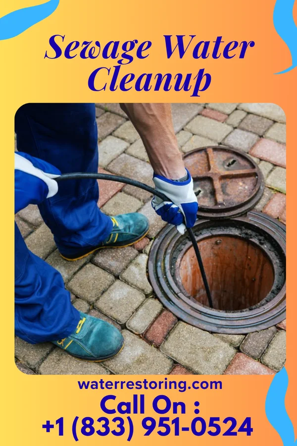 Sewage Water Cleanup in Upper Pohatcong, NJ